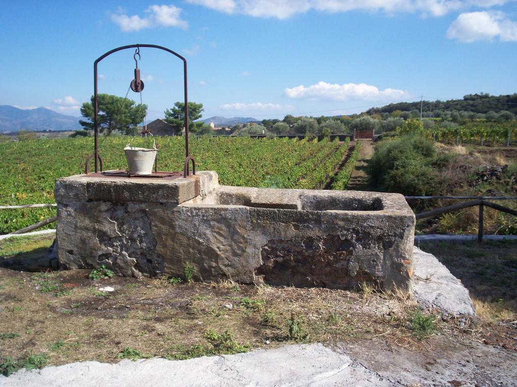 Etna Wine Azienda Agrituristica Passopisciaro 客房 照片