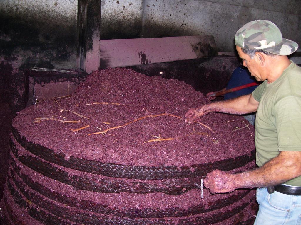 Etna Wine Azienda Agrituristica Passopisciaro 外观 照片
