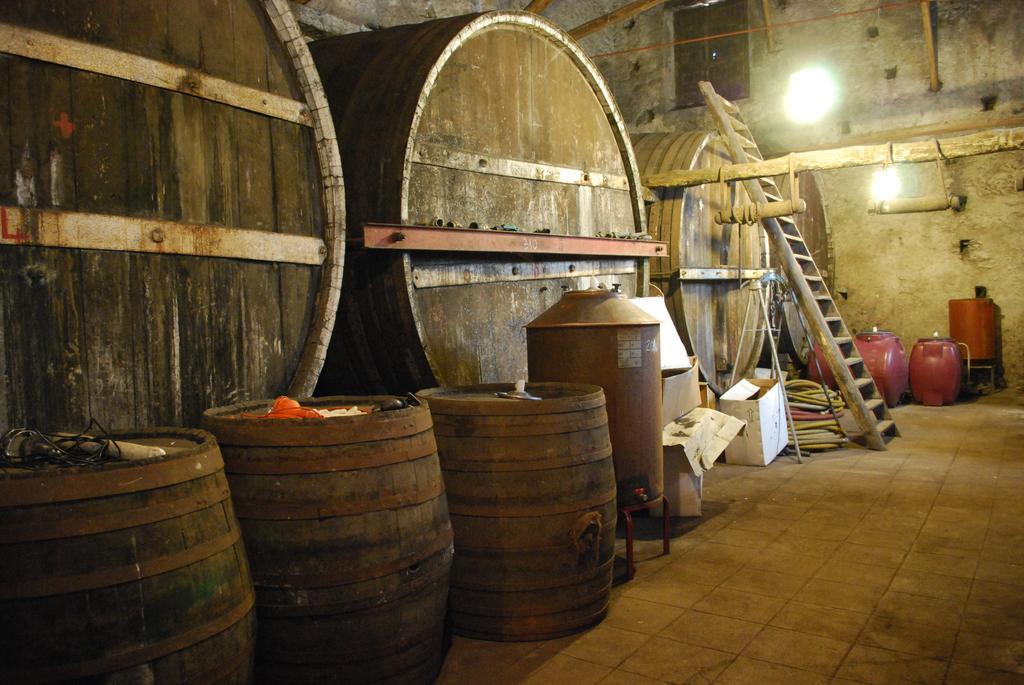 Etna Wine Azienda Agrituristica Passopisciaro 外观 照片